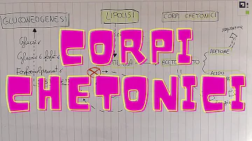 Quando si formano i corpi chetonici?