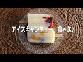 手作りアイスキャンディー｜葛あいすのもと｜タイガークラウンのキャンディーメーカー
