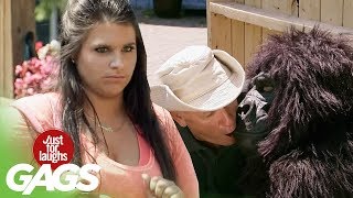 Zookeeper Caught MAKING OUT with Gorilla