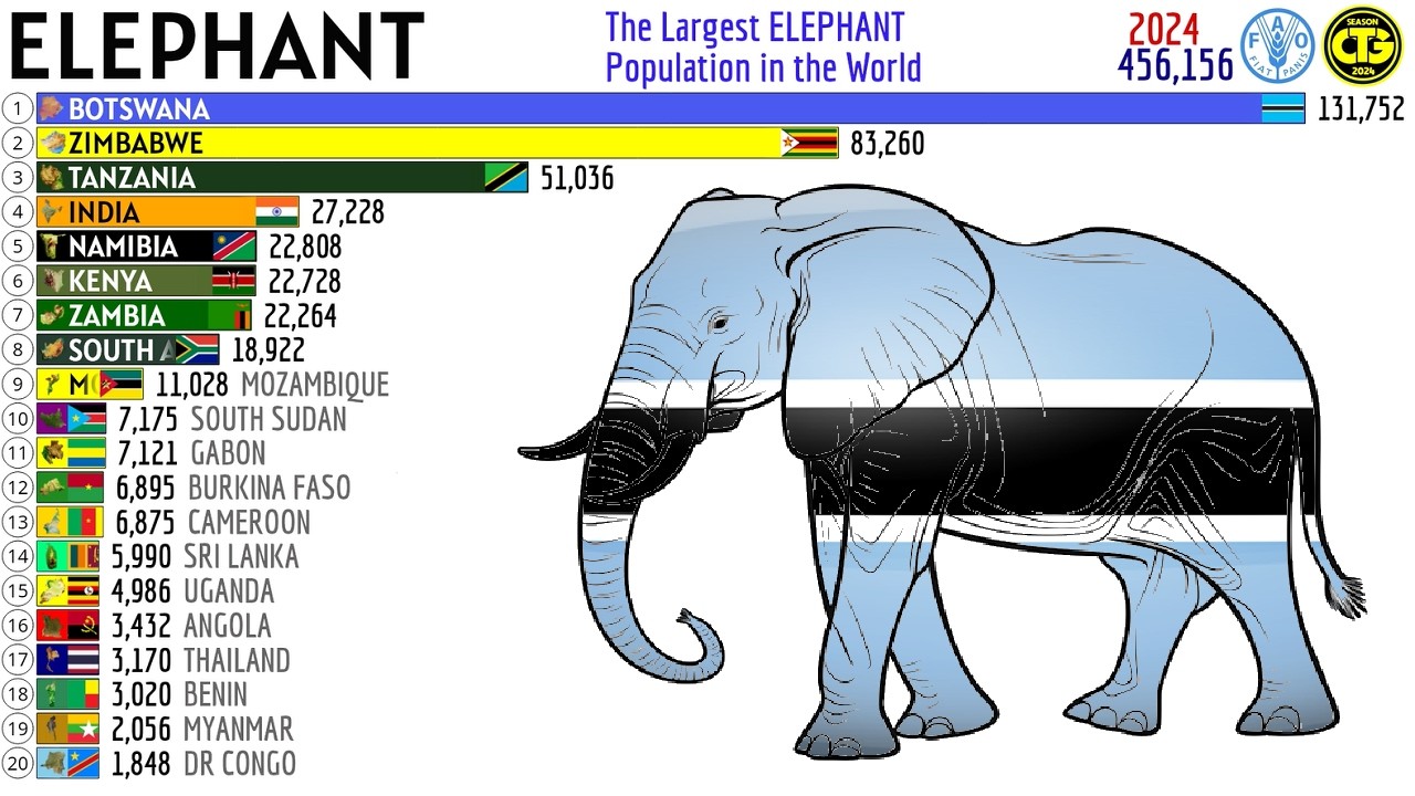 Страны с самой большой популяцией слонов в мире