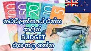 නවසීලන්තයට ලංකාවෙන් කීයක් ගේන්න වෙයිද? First month cost of living in NewZealand| ජීවන වියදම