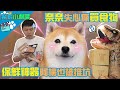 奈奈失心瘋買食物?保鮮神器阿楞也被推坑!? ft.德國雙人 |奈家小劇場|【柴犬Nana(奈奈)和阿楞】