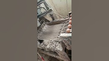 Automatic Egg Collecting and Sorting Machine: Boost Your Poultry Farm Efficiency!