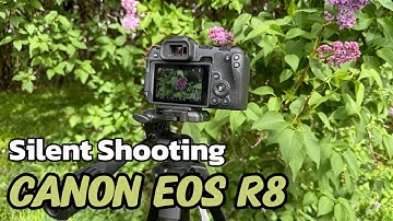 Canon EOS R8 Silent Shooting Explained: Noise-Free Photography