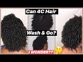 How To Get Super Defined 4C Wash & Go | AUSSIE Product Review: Miracle Curls| 3min Miracle Moist