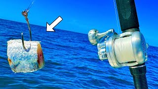 Reef Fishing with CUTBAIT in the Gulf of Mexico! [Multiple Species]