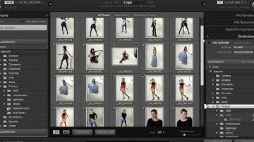 Photoshop Lightroom 3 new Import panel and options