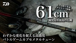 わずかな変化を捉える高感度 バトルゲームカブセメタルチューン ーー 鹿児島県桜島の石鯛　稲垣昌己