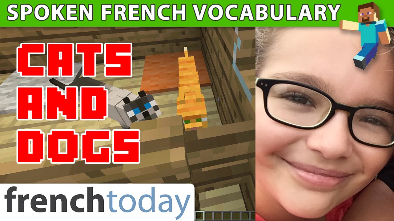 All About Cats In French