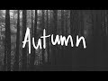 Matthew mole  autumn official audio