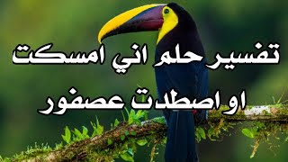 تفسير حلم اني امسكت عصفور|تفسير حلم صيد عصفور Interprétation d'un rêve j'ai attrapé un oiseau