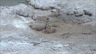 Slurp Geyser (2024)