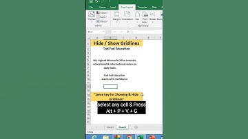 Hide & Show Gridlines in #microsoft  #excel #msexcel #shorts #computer #education #tricks