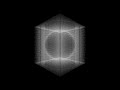 Shohei Fujimoto - density compression [2020]