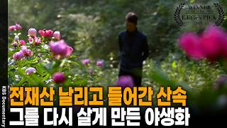 Losing Everything and Moving to the Mountains... 15 Years of Cultivating a Flower Garden Instead ...