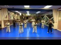 Taekwondo poomse basic form 1