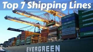 Top 7 Shipping Lines in the World 2025 🚢 | Biggest Container Shipping Companies