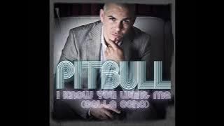 Pitbull - I Know You Want Me (Ringtone)
