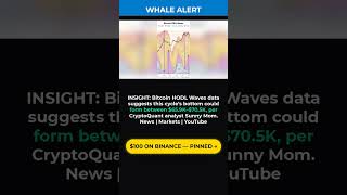 💰INSIGHT: Bitcoin HODL Waves data suggests this cycle s #shorts #fyp #хештег