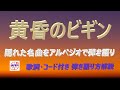 『黄昏のビギン』弾き語り解説【アコギ入門編】【初心者・中高年・シニア向けギター弾き語り講座】
