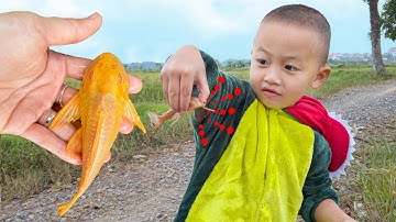 Em ổi tìm bắt được con cá vàng kì lạ biết nói chuyện #cávàng #concá #fishing #fish #tìmbắtcávàng
