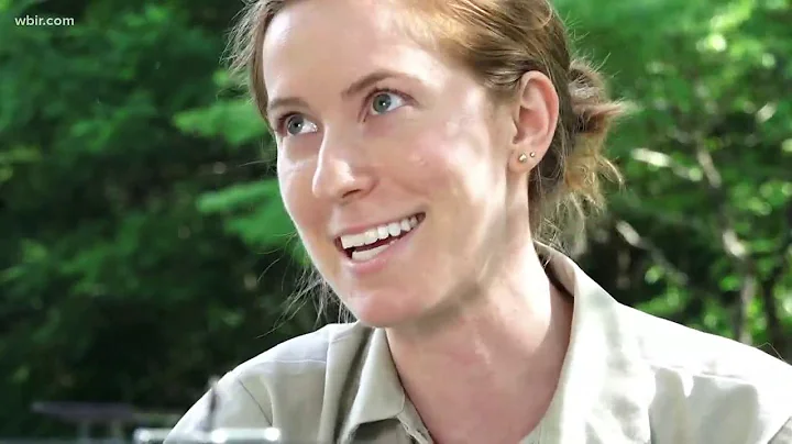 Artist quits her day job to paint synchronous fireflies in the Smokies