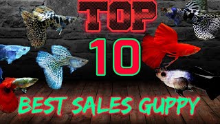 TOP 10 BEST SALES STRAIN GUPPY IN 2021-2022