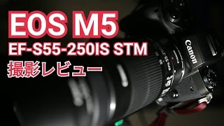 EOS M5とEF-S55-250 F4-5.6 IS STM撮影レビューその1