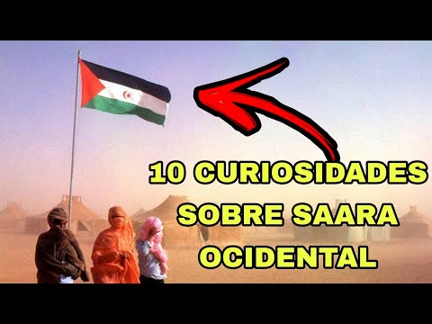 SAARA OCIDENTAL | 10 CURIOSIDADES QUE PRECISA CONHECER #37