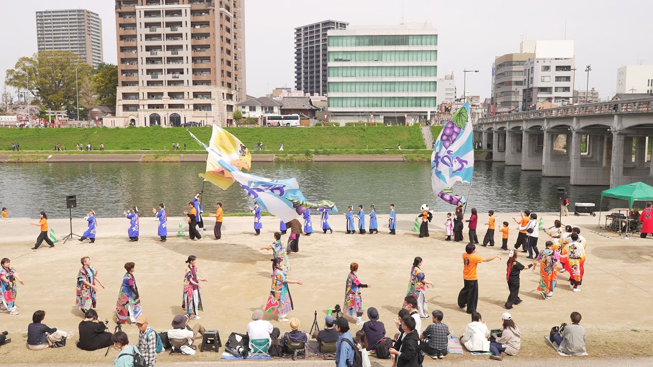 4K] 総踊り①「一天涛快 / えびすくい音頭」 どまつり夜桜in岡崎 2024