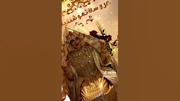 شدة التلمسانية جديد 2023 
