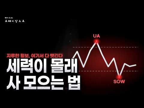 개미는 지치고 세력은 모은다, 횡보의 진실 | 와이코프 3편