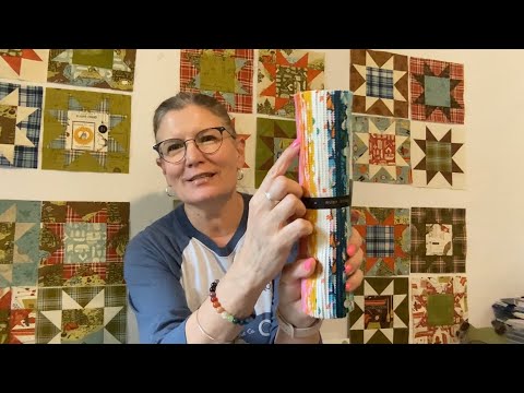 Stitching Is Elementary ~ Quilty Update ~ New Summer Quilt Along, Quilty Progress & Way to Much Haul
