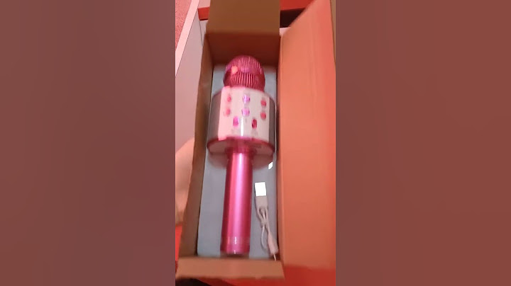 Karaoke Mikrofon(Microphone)