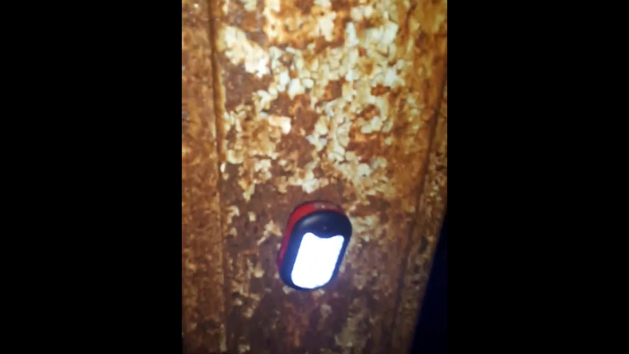 haunted road movie Exploring Abandoned Insane Asylum/DOREA Institute