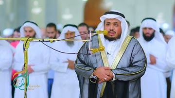 أمن يجيب المضطر) تأمل في دلائل عظمة الله] تلاوة مؤثرة القارئ سعيد الخطيب