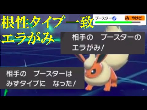 ポケモン剣盾 面白ギミック 番外編 ブースターがこんじょうタイプ一致先制エラがみをうつ方法 Youtube