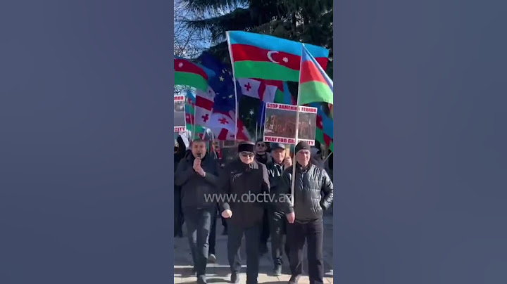 Азербайджанцы в Грузии выступили в масштабной акции против Армении