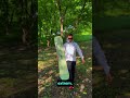 Ce sportivi au revoluționat snowboarding ul?