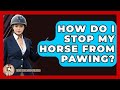 How Do I Stop My Horse From Pawing? - The Horses Stable