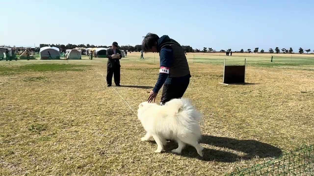ＪＫＣ大阪クラブ訓練競技会