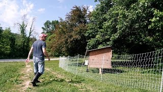 Solar Energizers For Electric Fence Premier1supplies