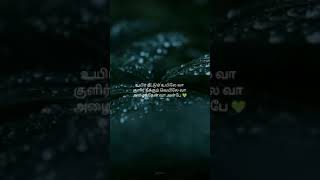 Velicha Poove Song Whatsapp Status