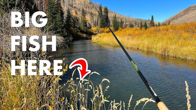 How to Tenkara - From setting up your rod to landing a fish and everything  in between 