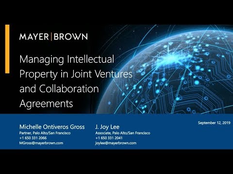 Managing IP in Joint Ventures and Collaboration Agreements