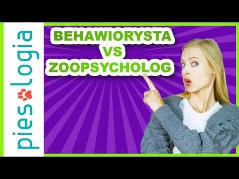 Czym zajmuje się treser psów, zoopsycholog i behawiorysta?