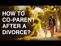 How to coparent after a divorce  amin law