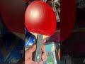 二手樊A,成色好,评论区说出你的价格😎 #tabletennis #pingpong