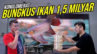 SAKIT JIWA!!! BELI IKAN TERMAHAL DI INDONESIA!!!  HARGA MILYARAN CUMA DAPET 1 IKAN!!!