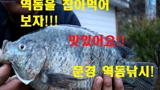 역돔, 틸라피아을 낚아서 먹어보자 Eating Tilapia カワスズメ 罗非鱼/羅非魚 Tilapia 틸라피아 泰來魚 罗非 역돔, 틸라피아을 낚아서 먹어보자 Eating Tilapia カワスズメ 罗非鱼/羅非魚 Tilapia 틸라피아 泰來魚 罗非